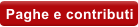 Paghe e contributi